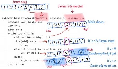 Integrated Development Environment Assignment figure.jpg